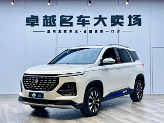 bao-jun 530