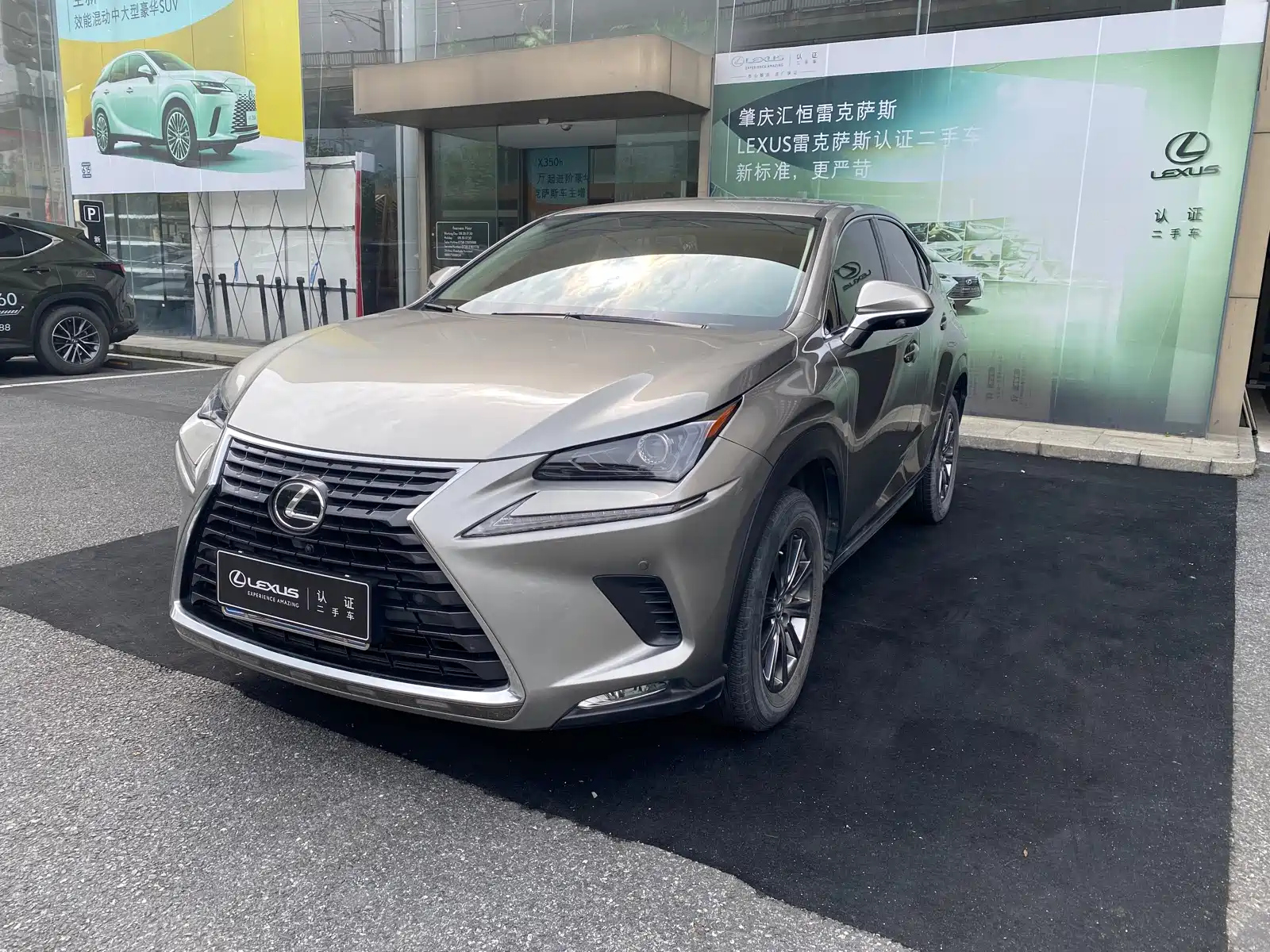 LEXUS NX