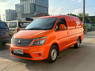 dongfeng lingzhi