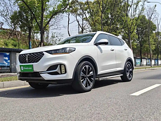 wey vv6