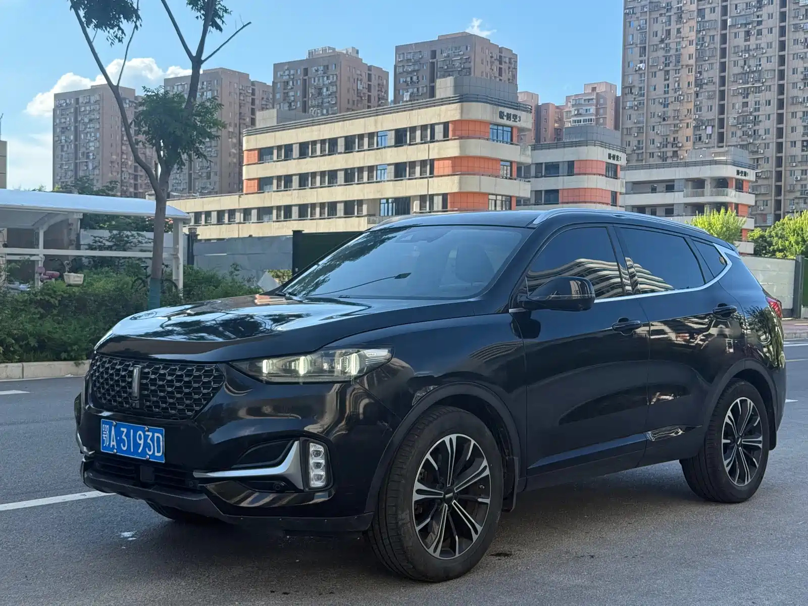 WEY VV6 2021