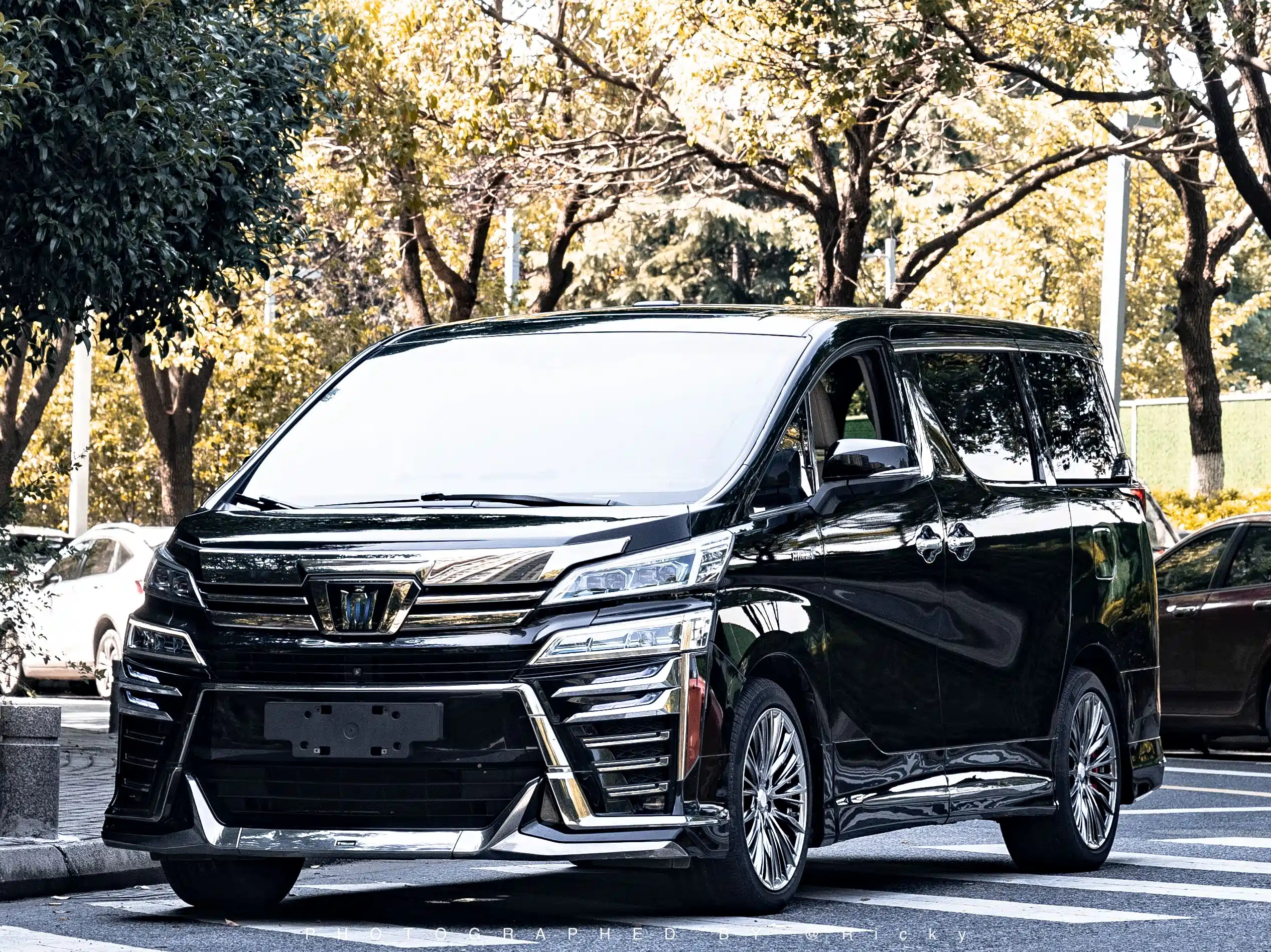 TOYOTA VELLFIRE 2019