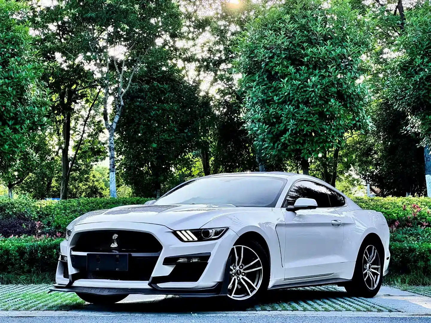 FORD MUSTANG 2016