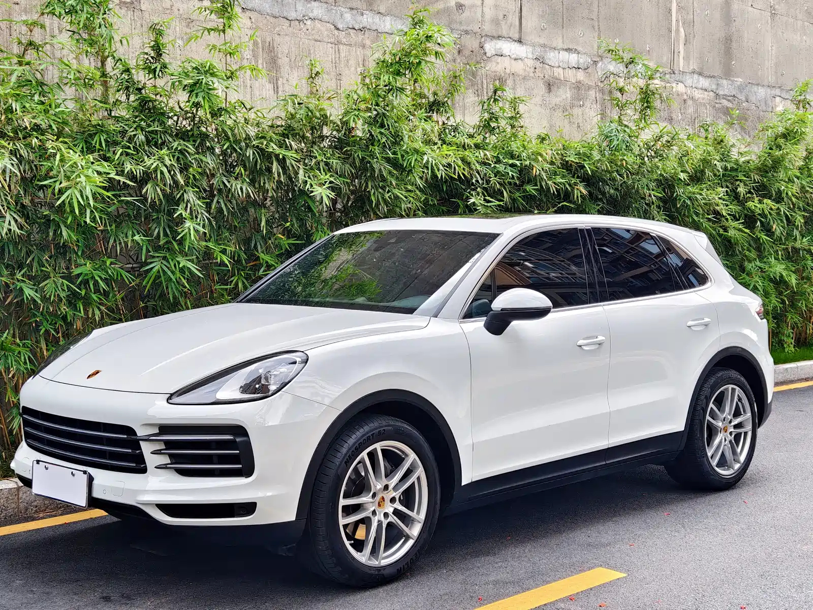 PORSCHE CAYENNE 2019