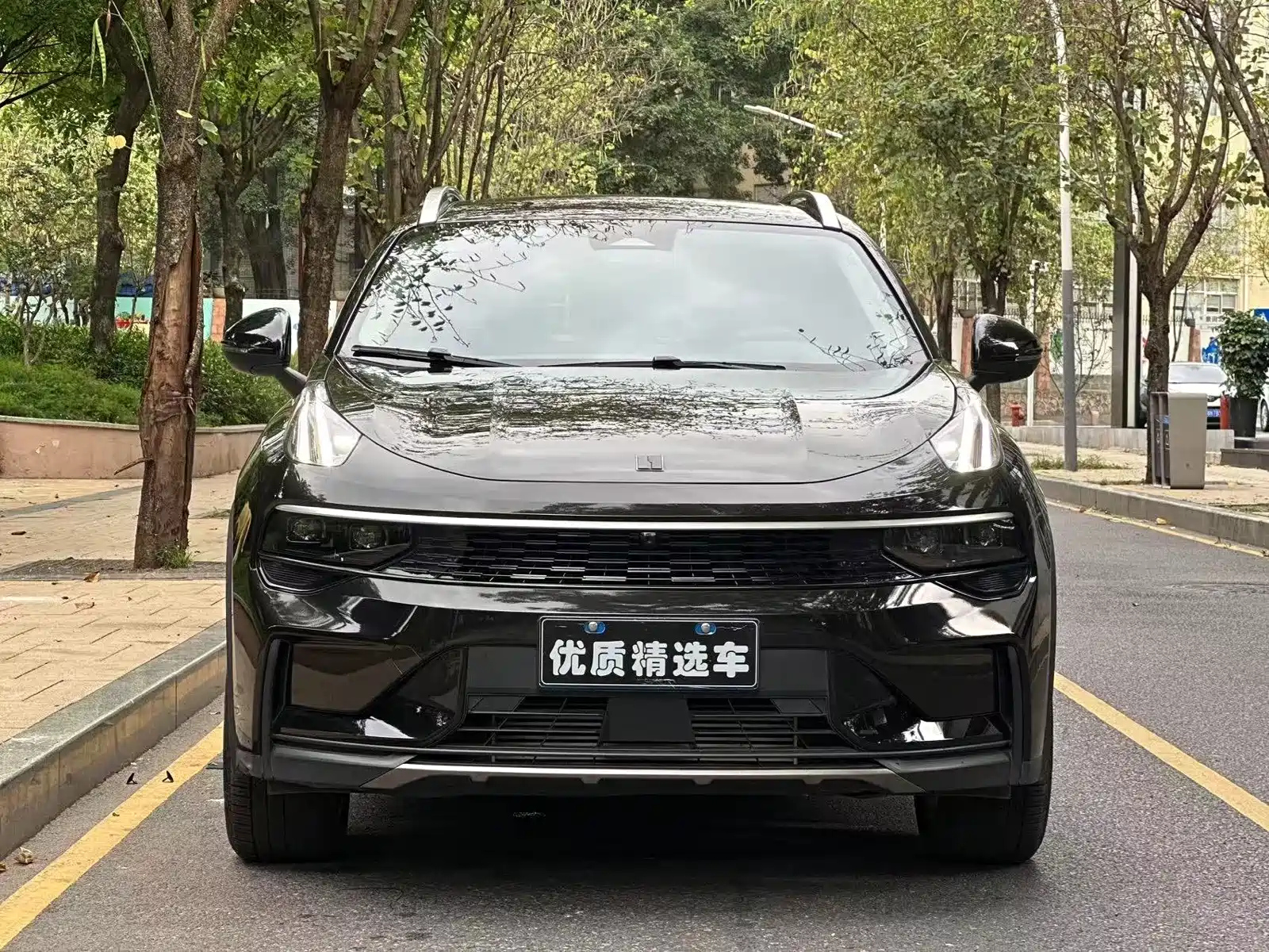 LYNK 01 2023