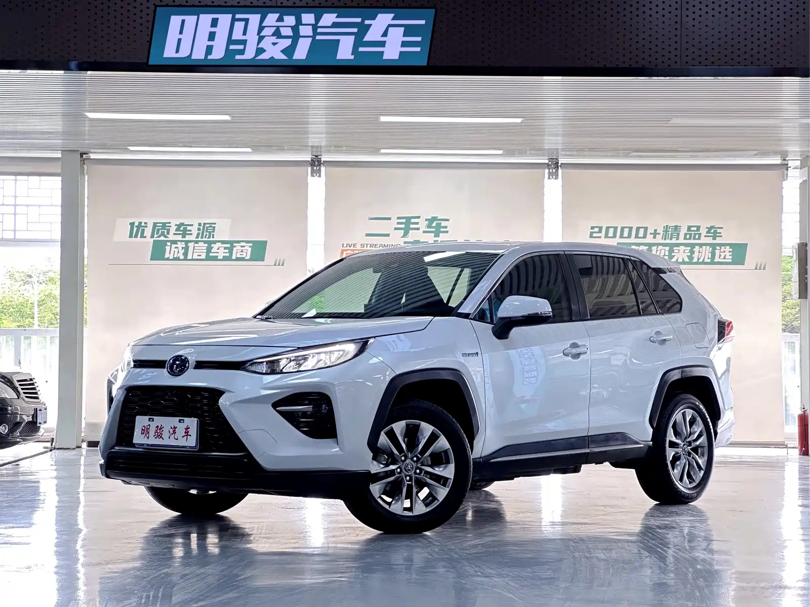 TOYOTA WILDLANDER 2022
