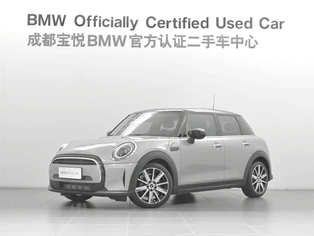 MINI OTHER 2023