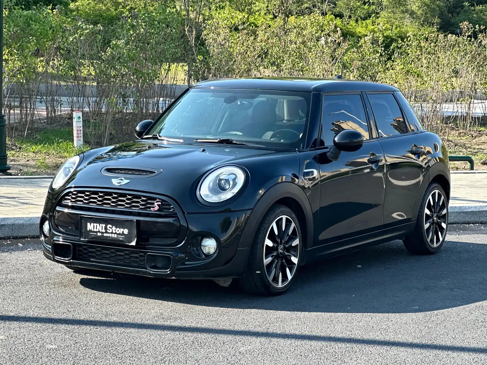 MINI OTHER 2016