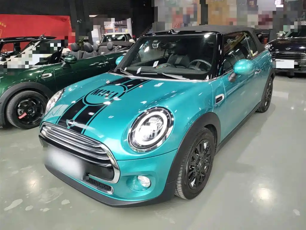 MINI OTHER 2018