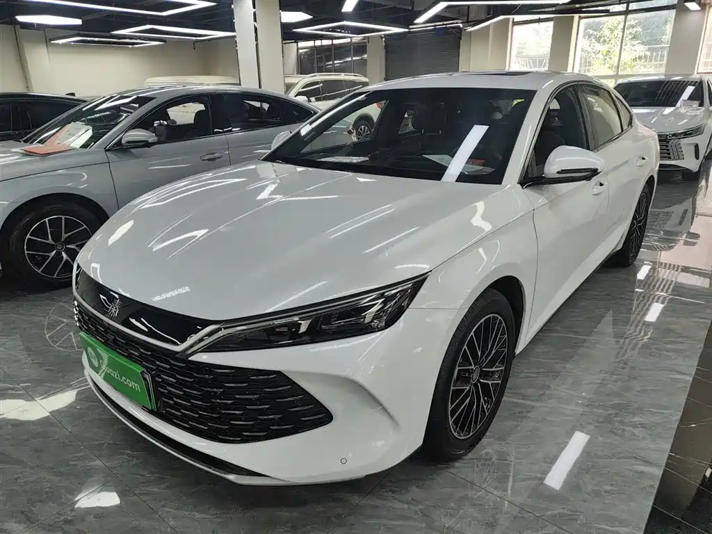 BYD QIN L 2024