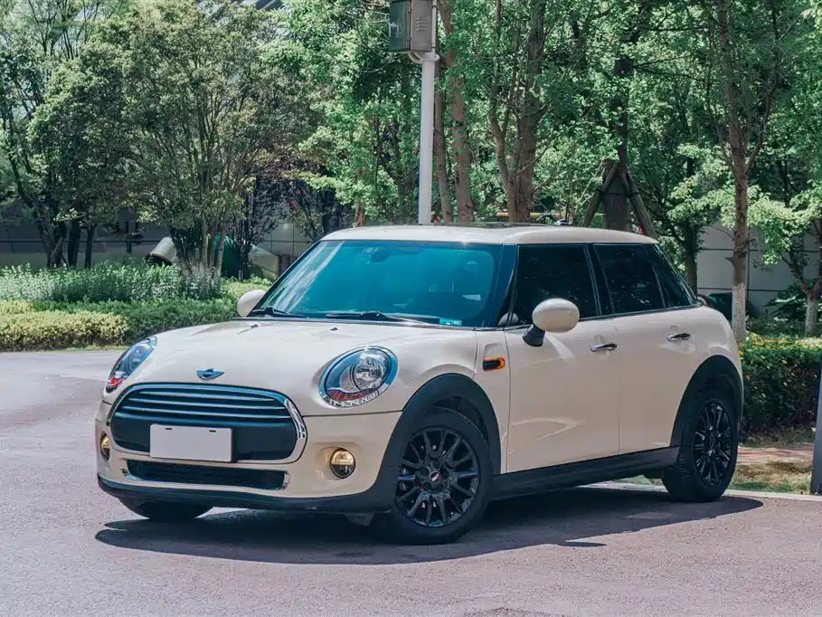 MINI OTHER 2018