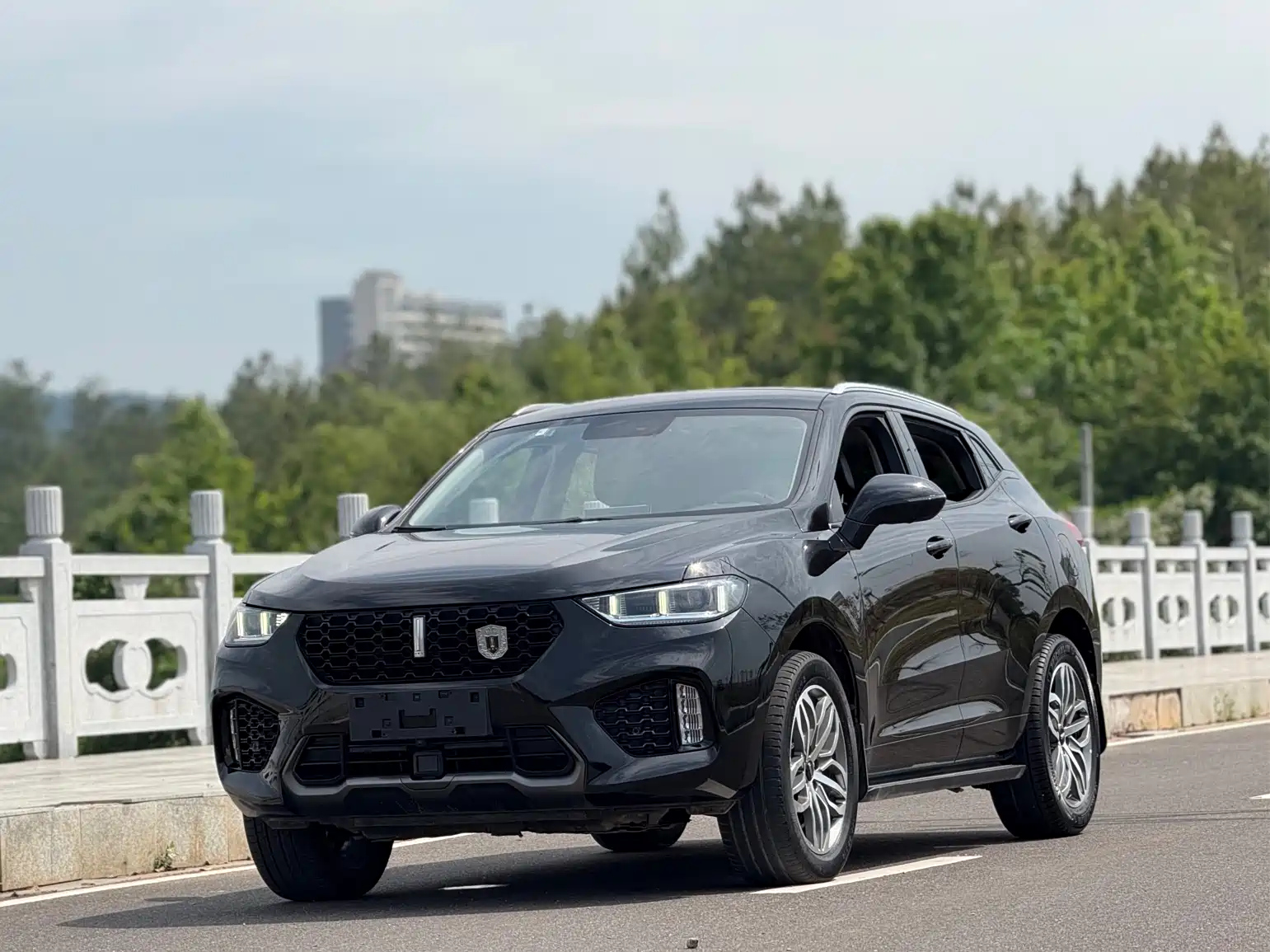 WEY VV5 2019