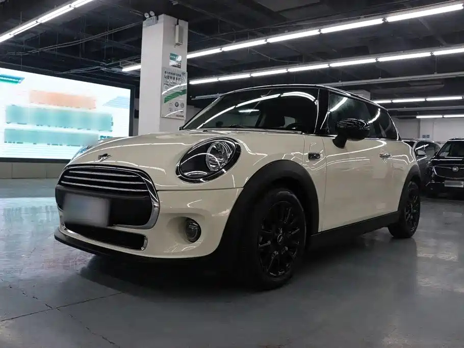 MINI OTHER 2021