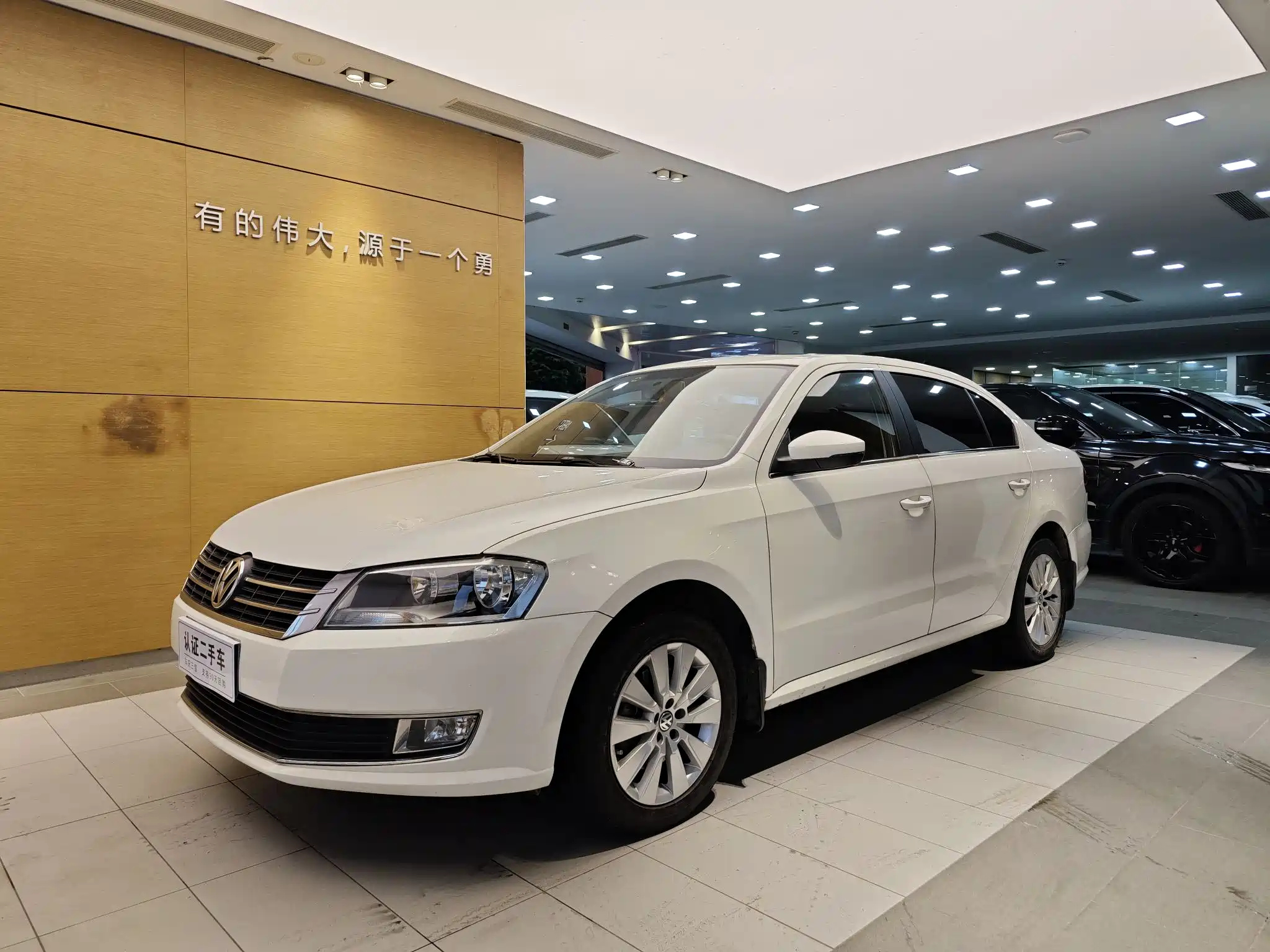 VOLKSWAGEN LAVIDA 2013