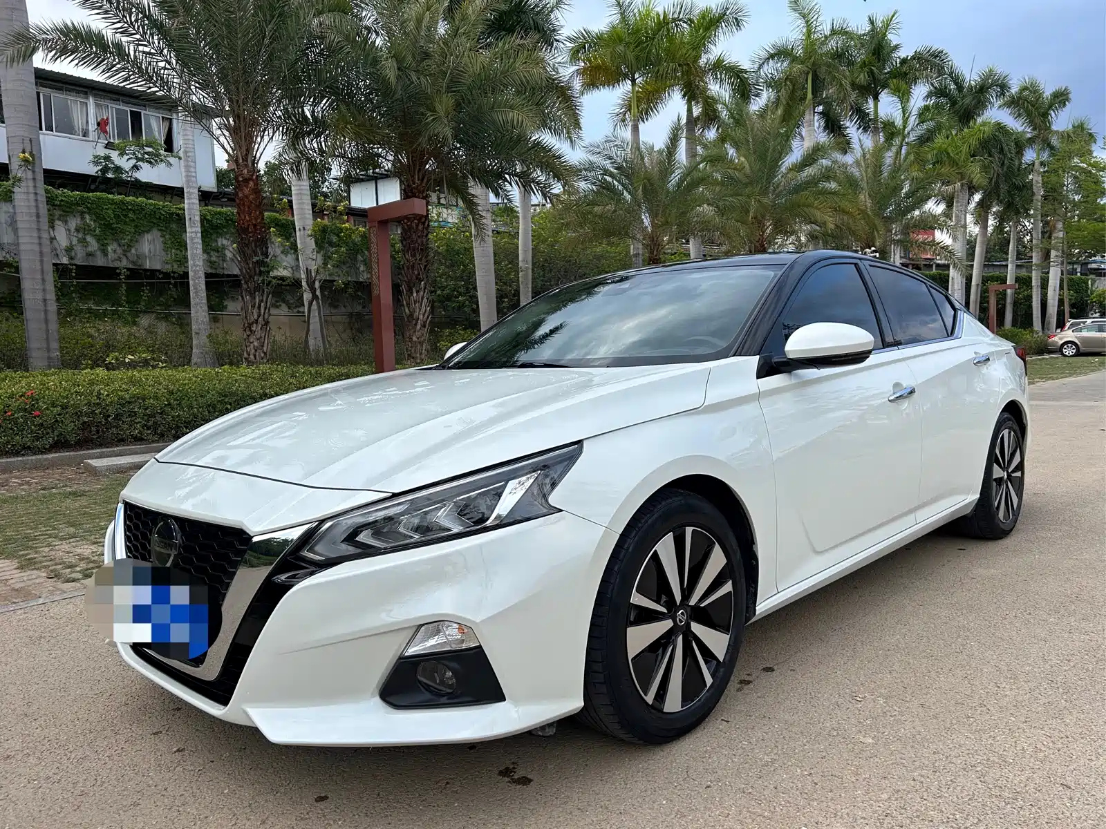 NISSAN TEANA 2019