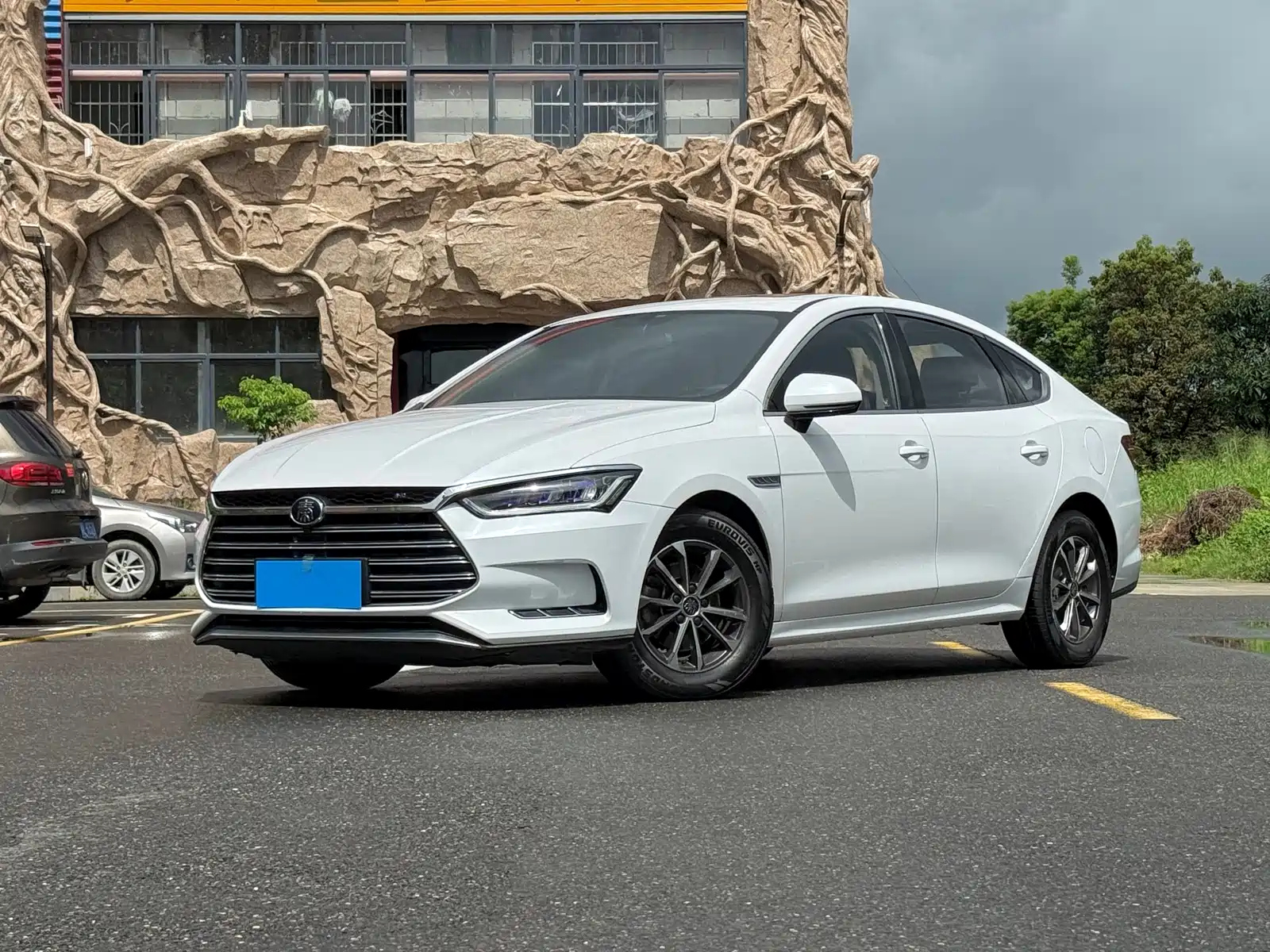 BYD QIN PRO NEW ENERGY 2019