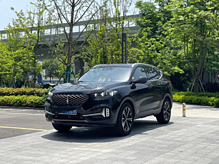 wey vv6