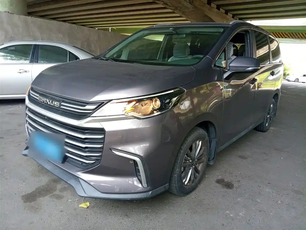 MAXUS OTHER 2021