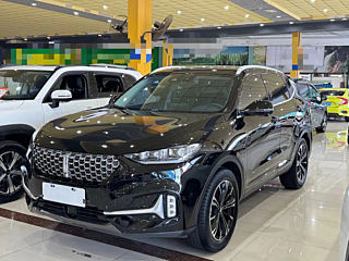 wey vv6