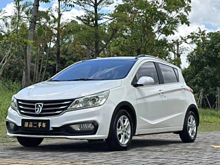 bao-jun 310