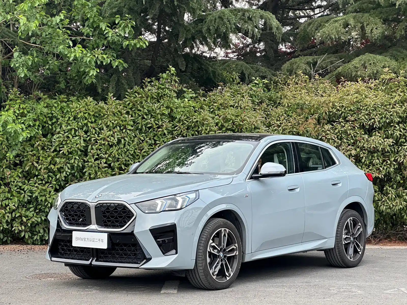 BMW X2 IMPORT 2024