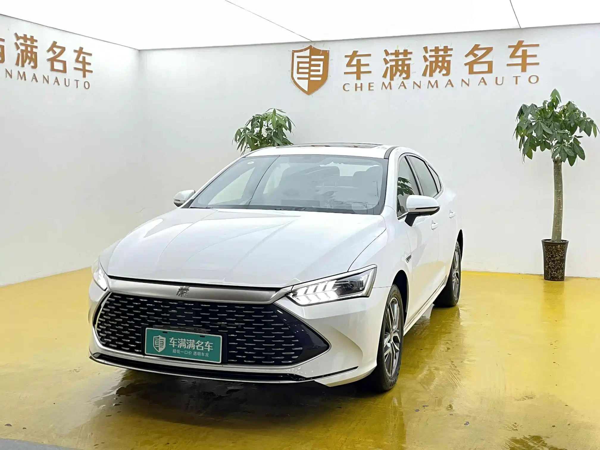 BYD QIN PLUS 2023