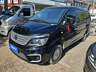 dongfeng lingzhi