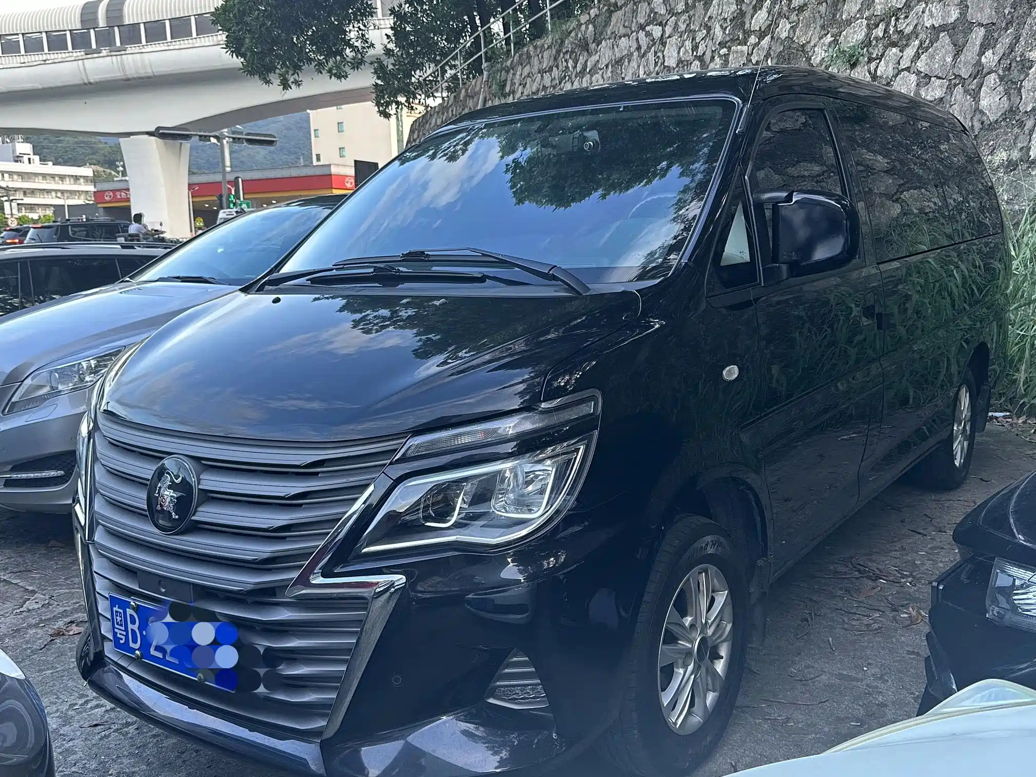 DONGFENG LINGZHI