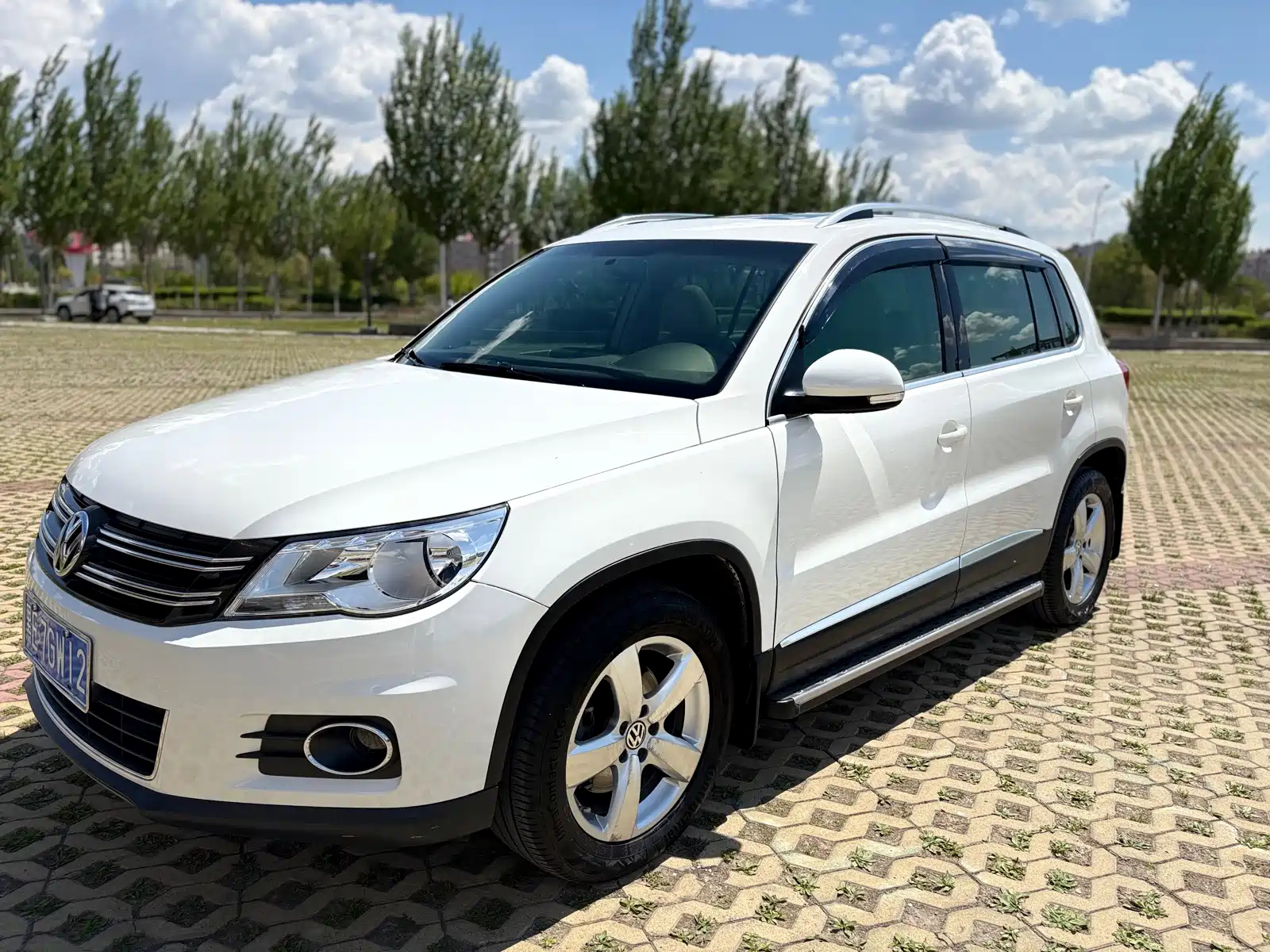 VOLKSWAGEN TIGUAN 2010