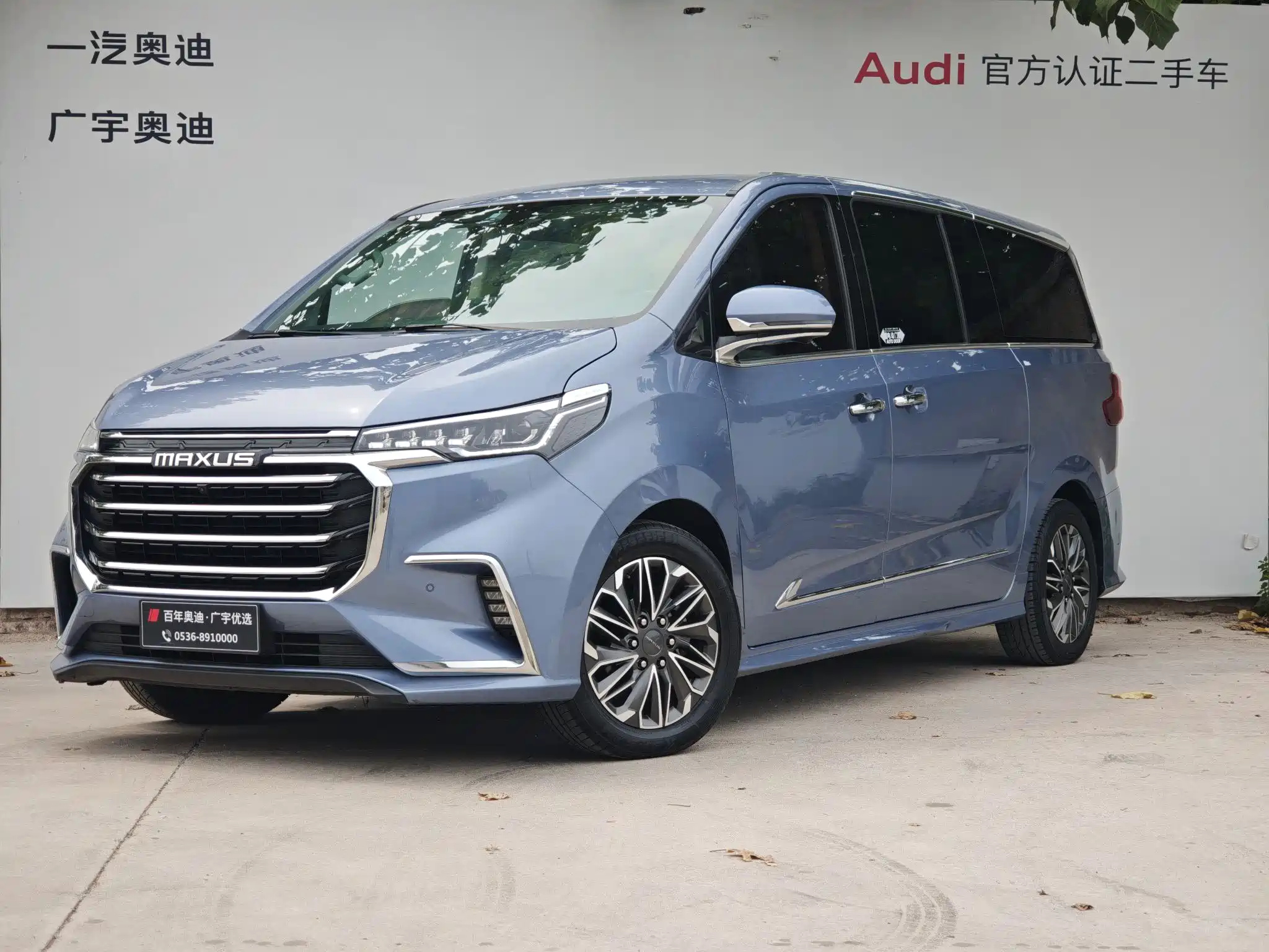 MAXUS OTHER 2020