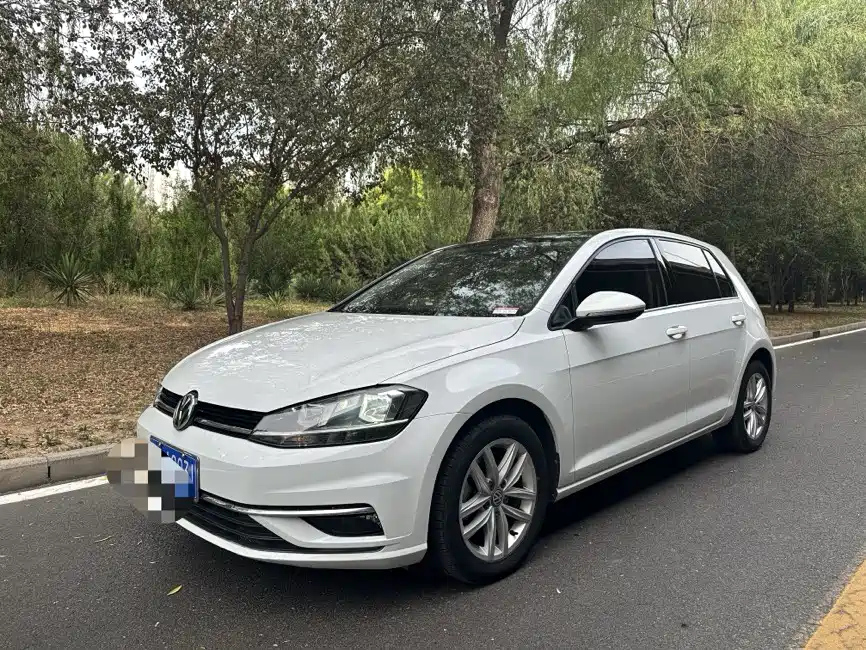 VOLKSWAGEN GOLF 2019