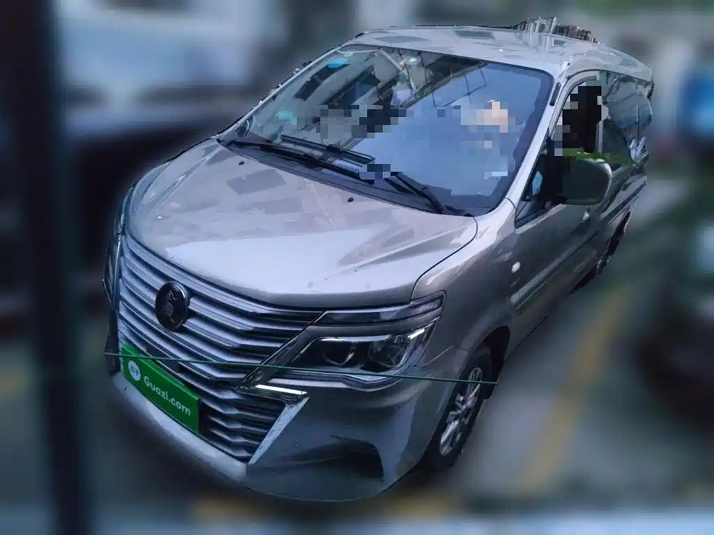 DONGFENG LINGZHI 2020