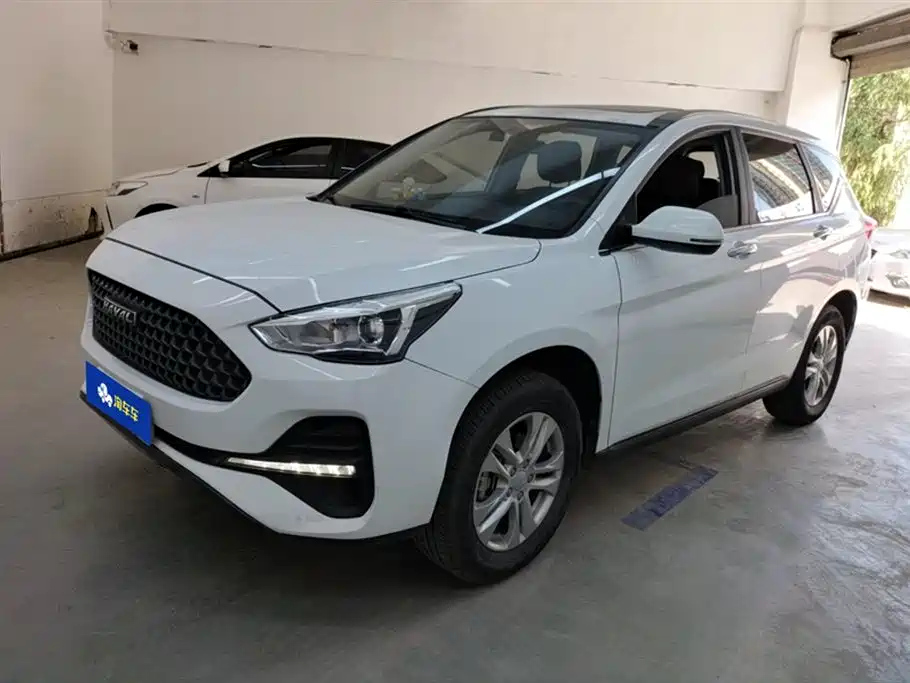HAVAL M6 2019