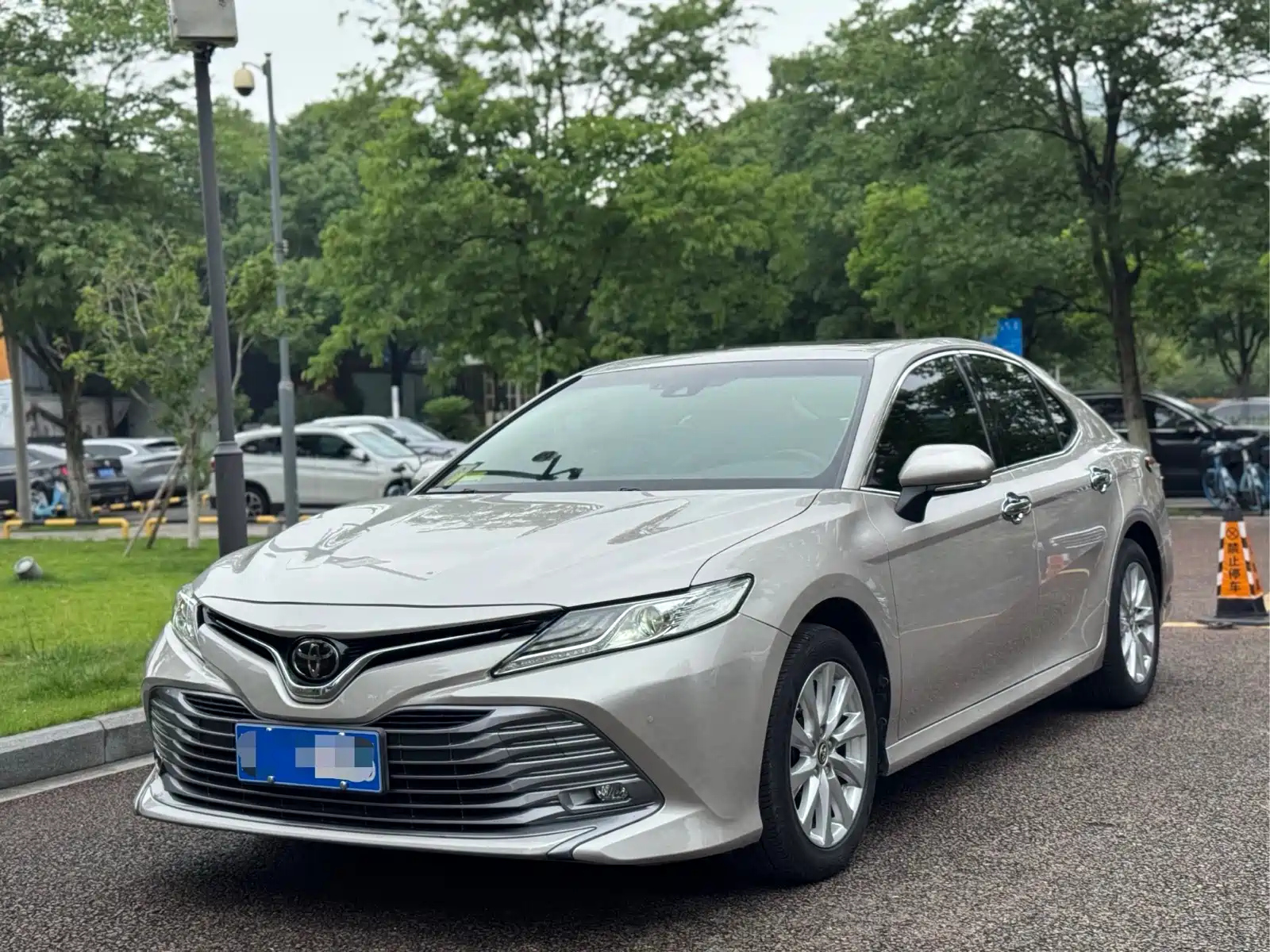 TOYOTA CAMRY 2019