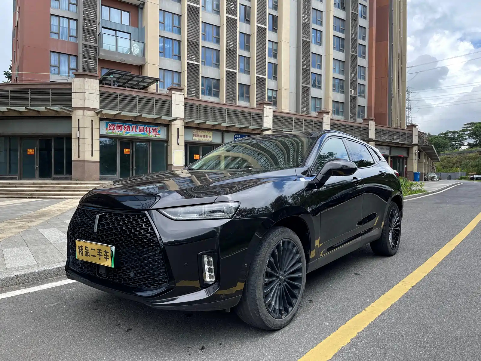 WEY P8 2018