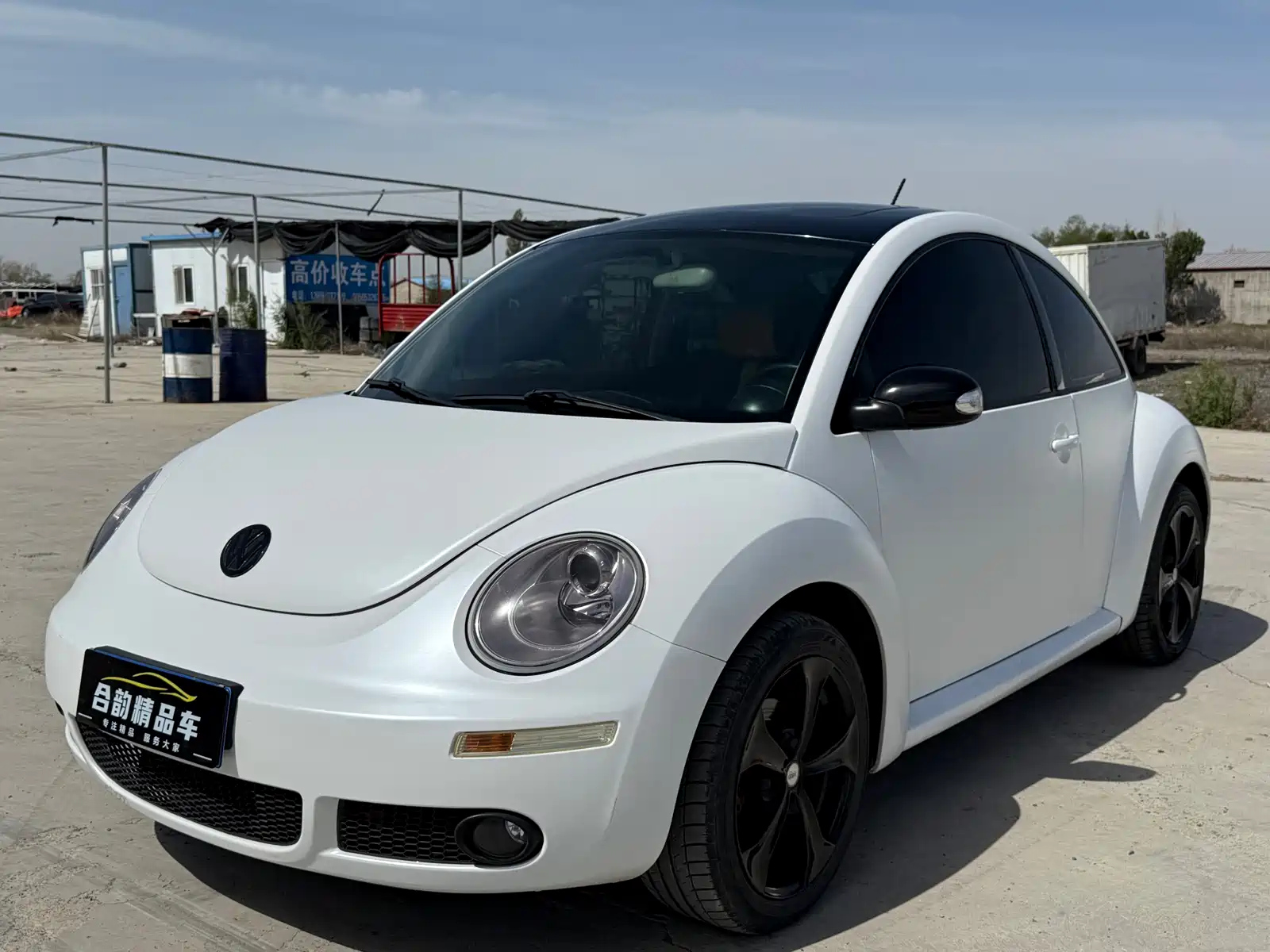 VOLKSWAGEN BEETLE 2010