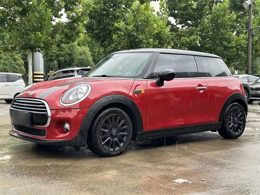 MINI OTHER 2014