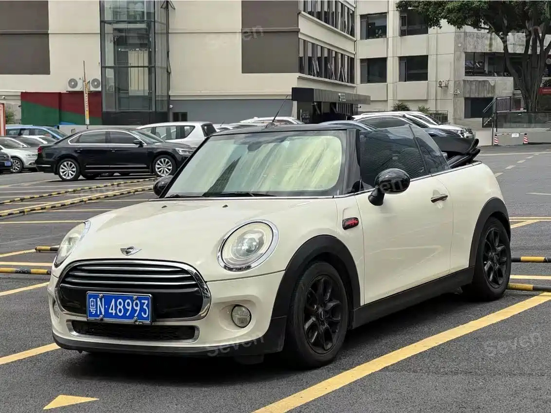MINI OTHER 2016