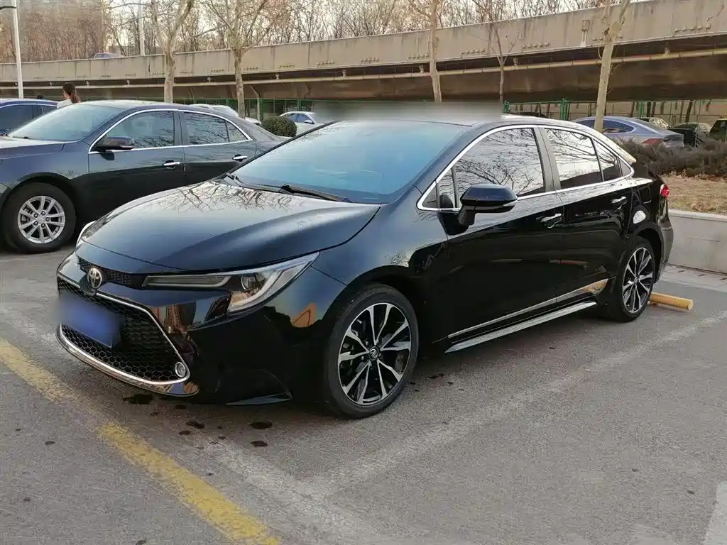 TOYOTA RALINK 2019