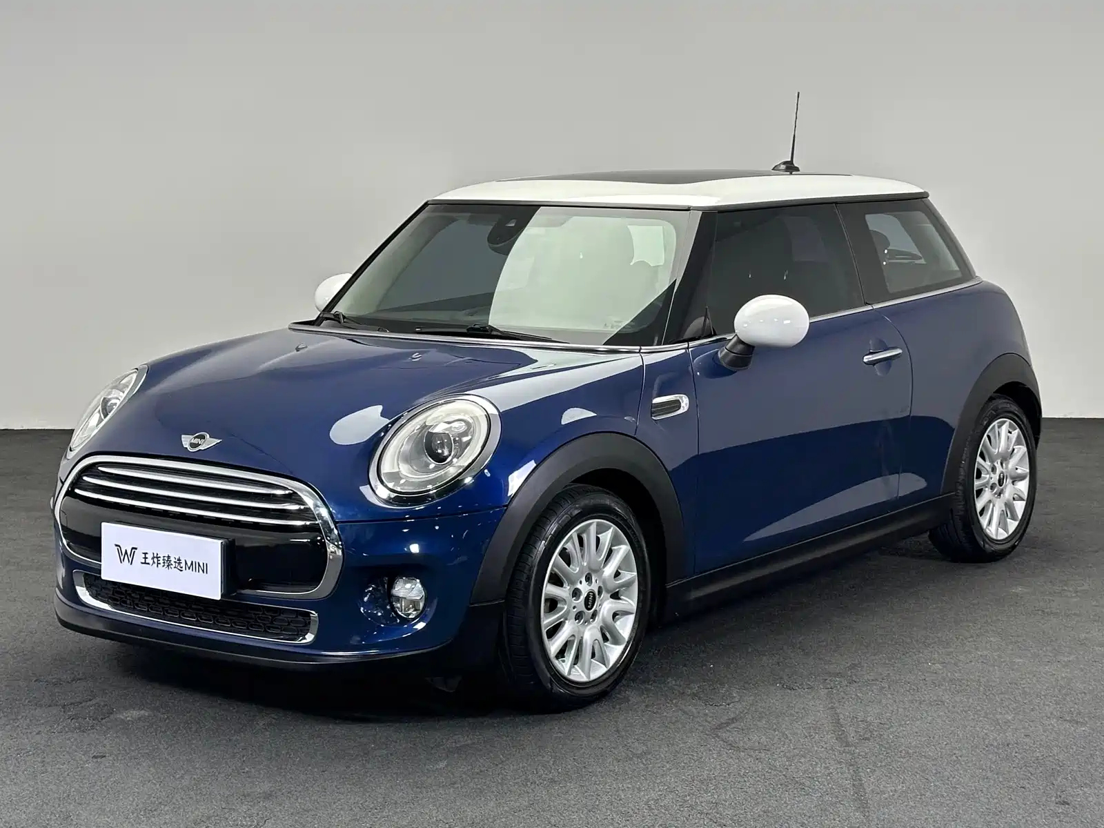 MINI OTHER
