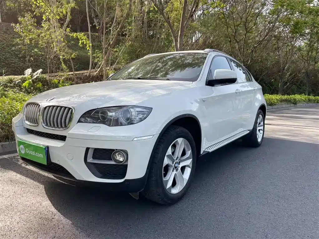 BMW X6 2013