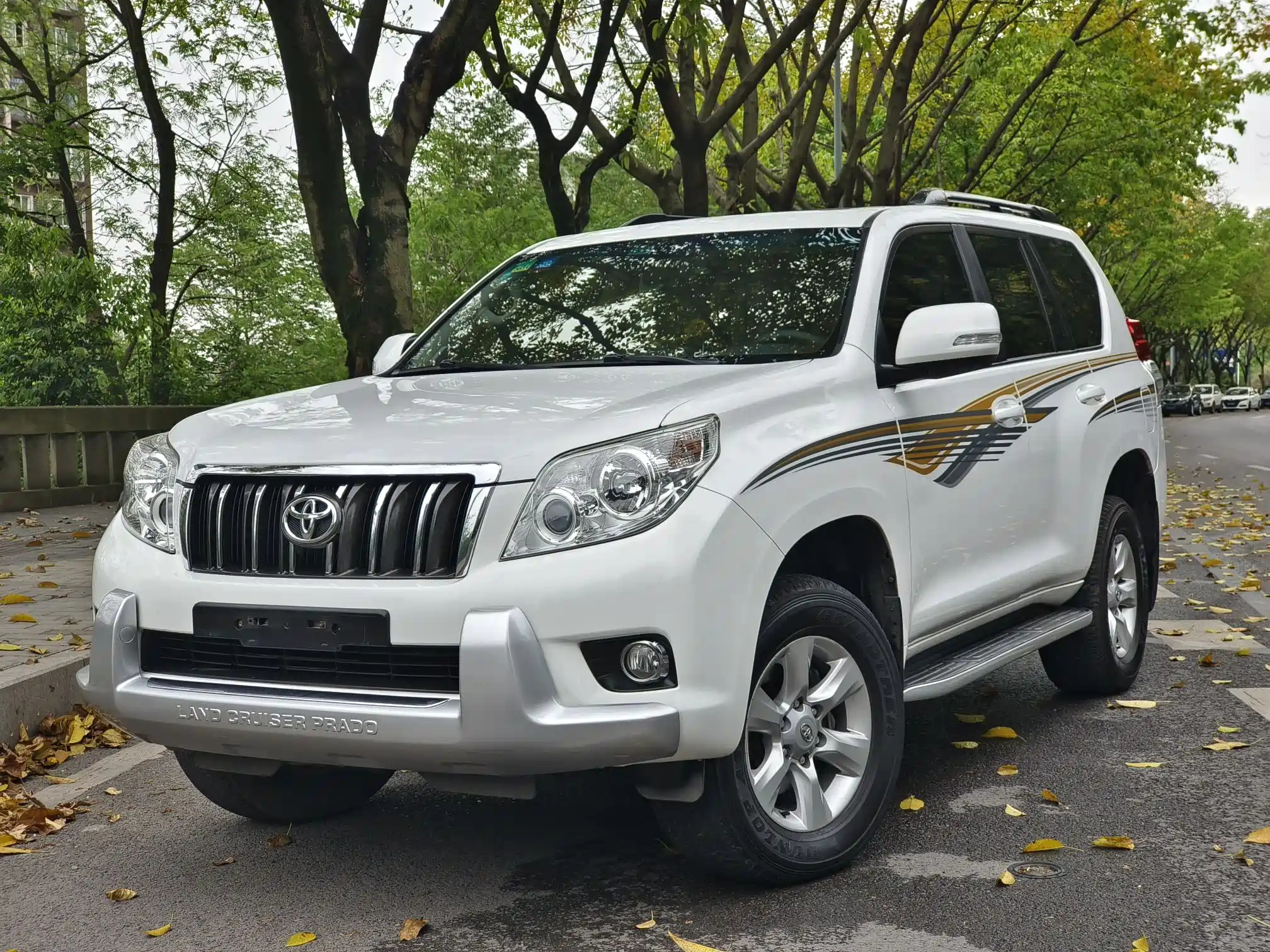 TOYOTA PRADO 2010