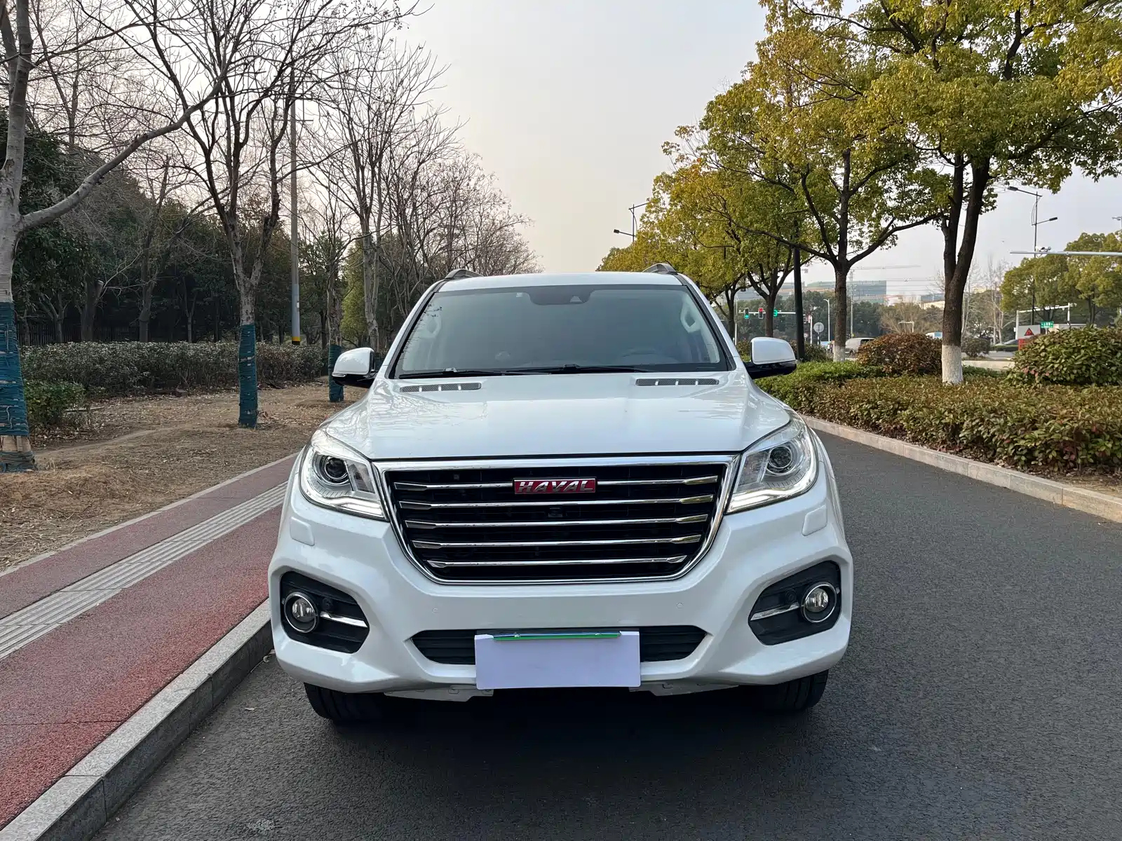 HAVAL H9 2017