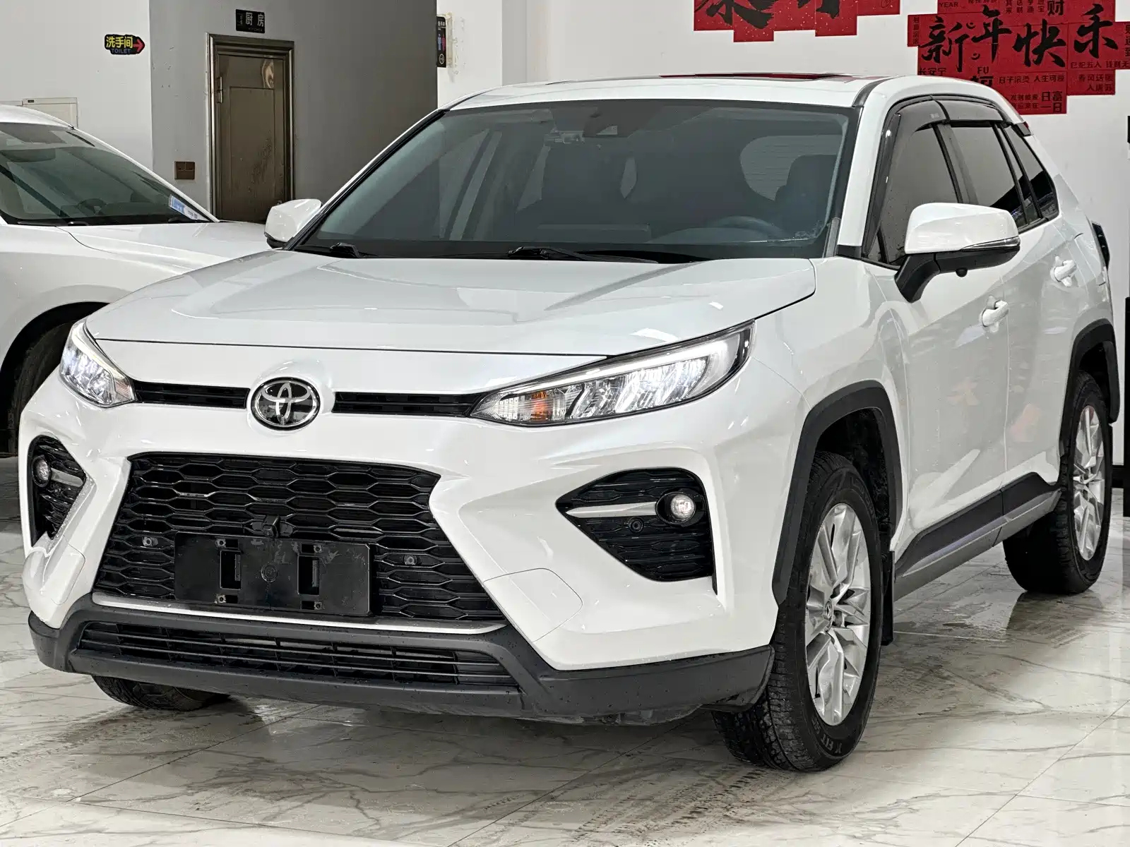 TOYOTA WILDLANDER
