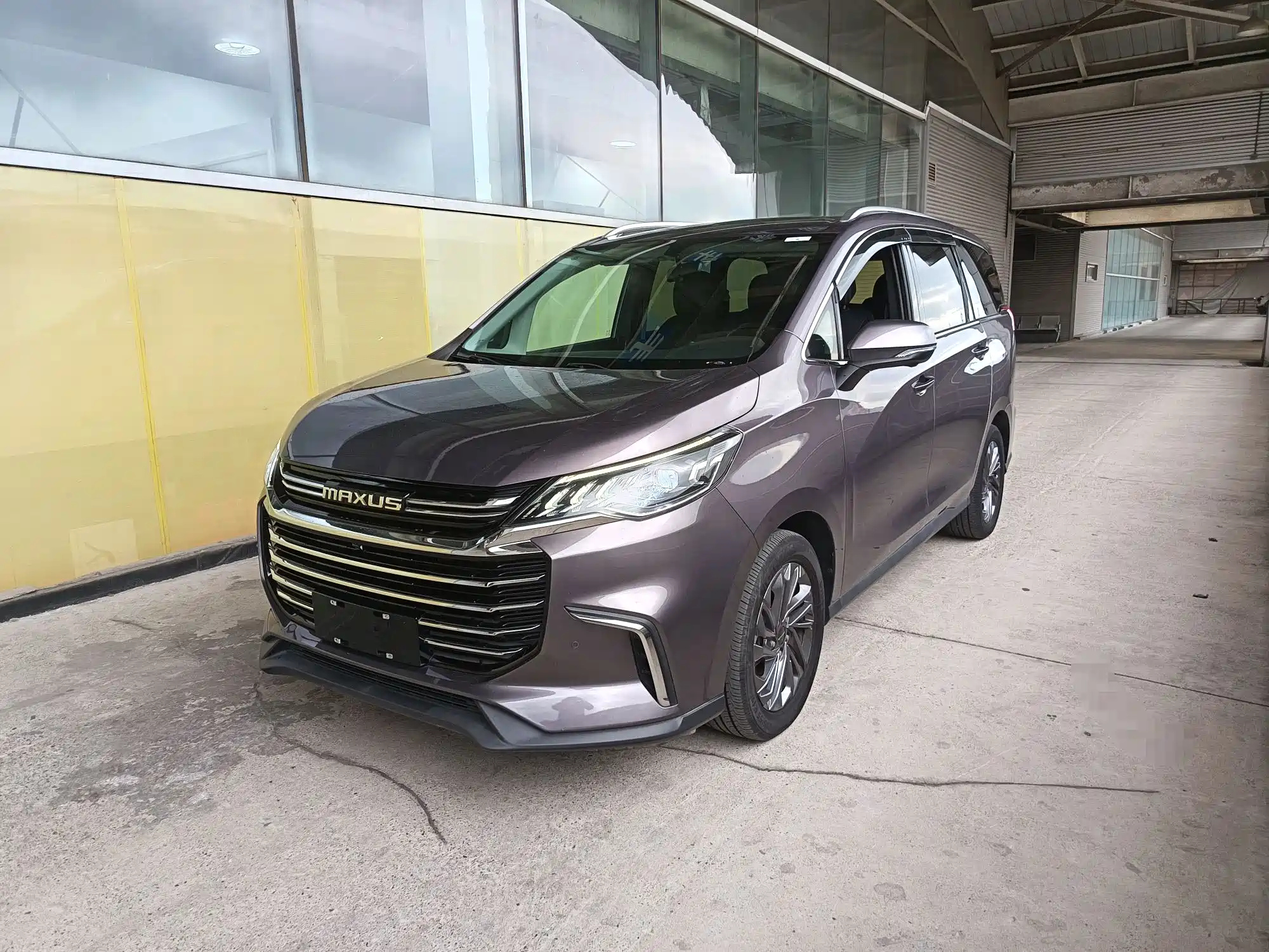 MAXUS OTHER 2019