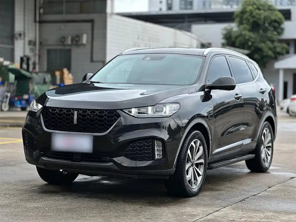 WEY VV6 2019