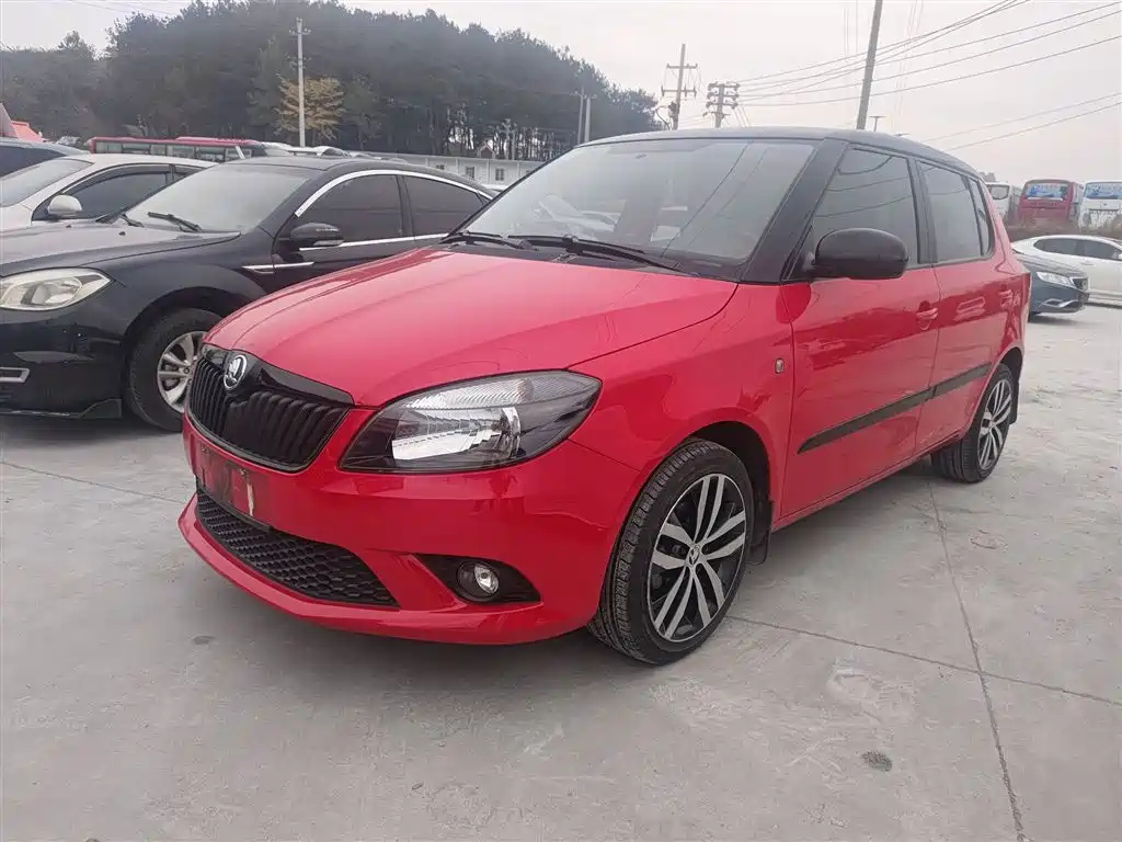 SKODA FASCIA 2014