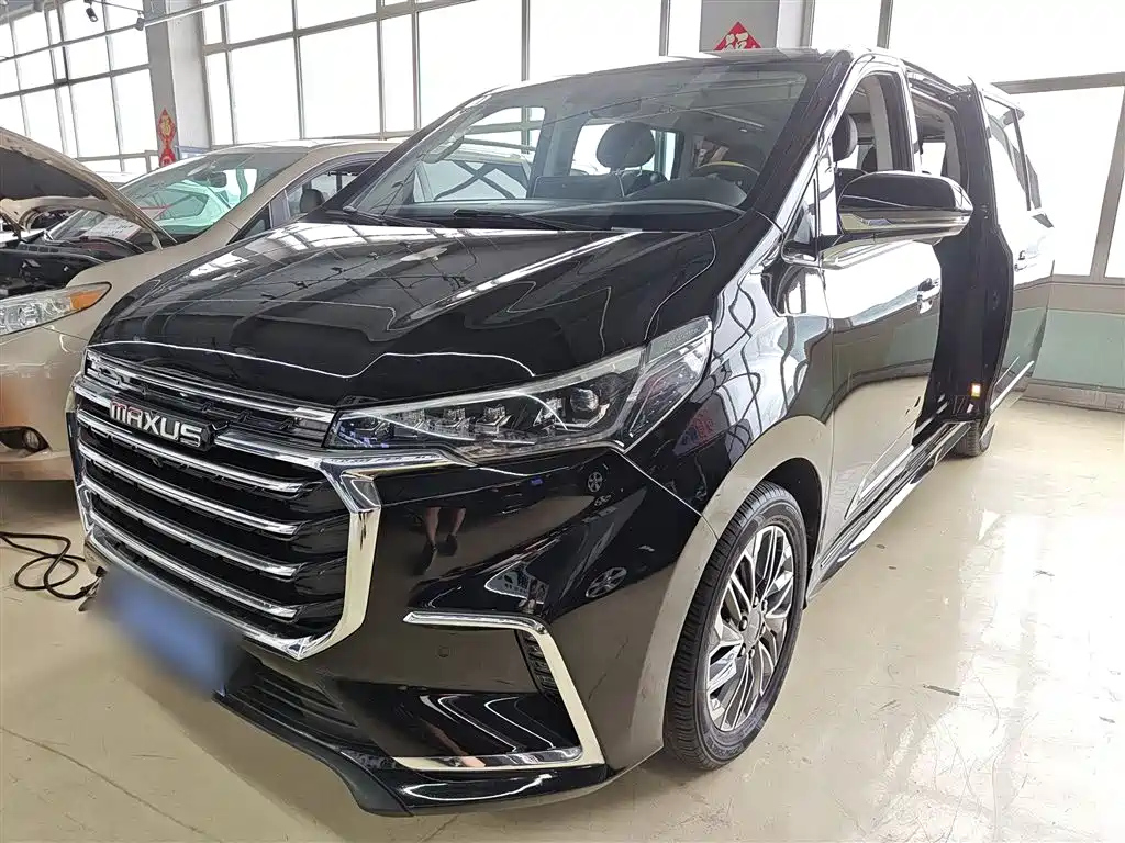 MAXUS OTHER 2019