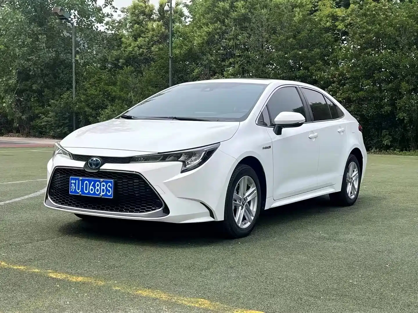 TOYOTA RALINK 2022