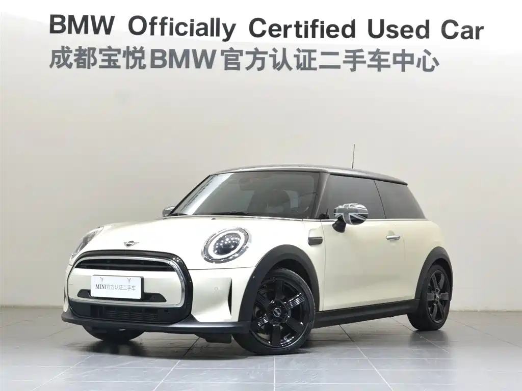 MINI OTHER 2023